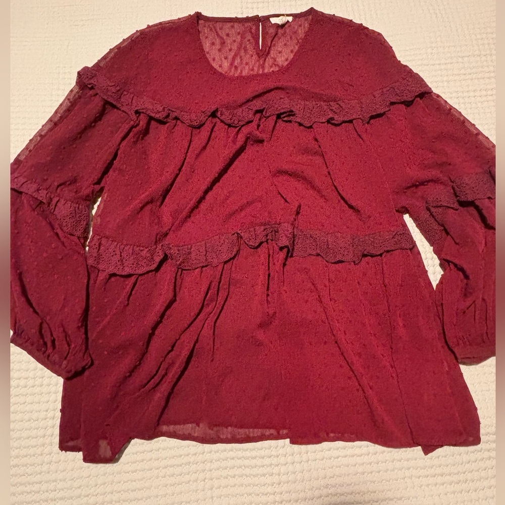 Sheer Tunic Top